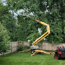 Best Aeration Services  in Trezevant, TN