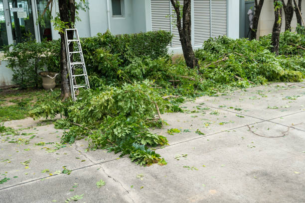 Best Utility Line Clearance  in Trezevant, TN